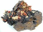 Red Vanadinite Crystals on Manganese Oxide - Morocco #38498-1